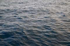 2Y3A3327