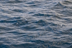 2Y3A3377