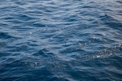 2Y3A3444