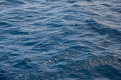 2Y3A3445