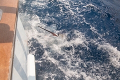 2Y3A3633