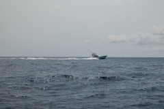 2Y3A3846