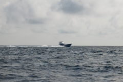 2Y3A3874