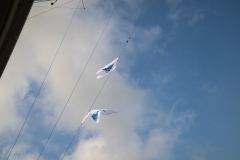 2Y3A3908